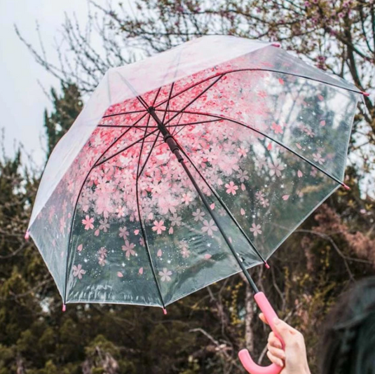 Translation missing: en.Transparent Cherry Blossom Sakura Umbrella 4 Available Colors