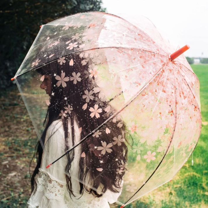Transparent Cherry Blossom Sakura Umbrella 4 Available Colors