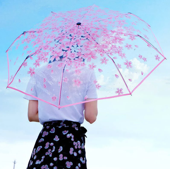 Transparent Cherry Blossom Sakura Umbrella 4 Available Colors