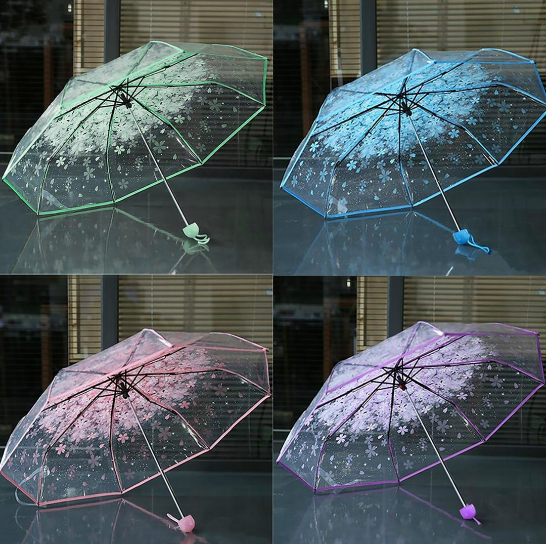 Transparent Cherry Blossom Sakura Umbrella 4 Available Colors