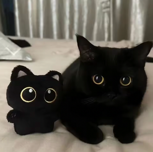 Translation missing: en.CUTE 10CM BLACK CAT PLUSH TOY