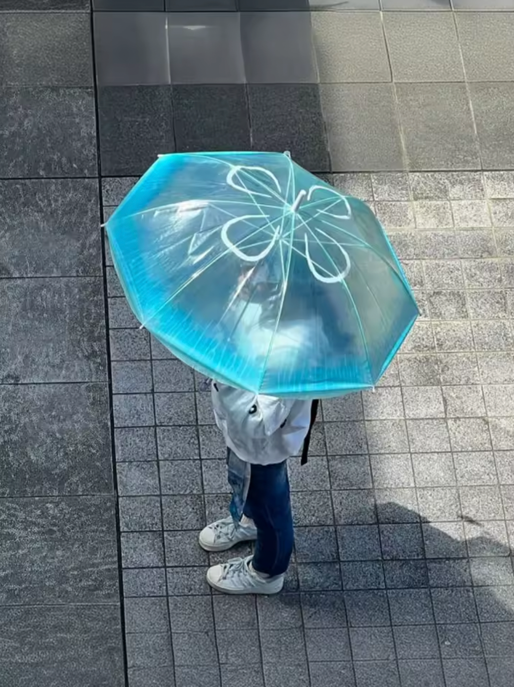 JellyFish umbrella