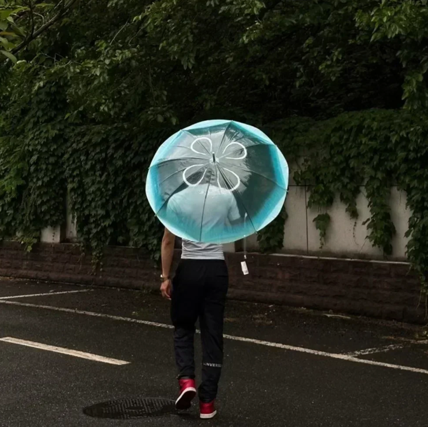 JellyFish umbrella