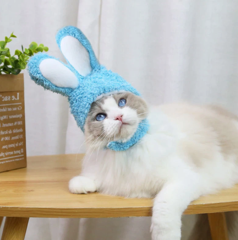 Bunny Rabbit Ears Hat for Cats