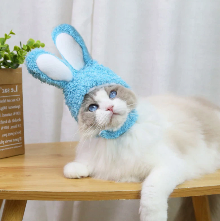 Bunny Rabbit Ears Hat for Cats
