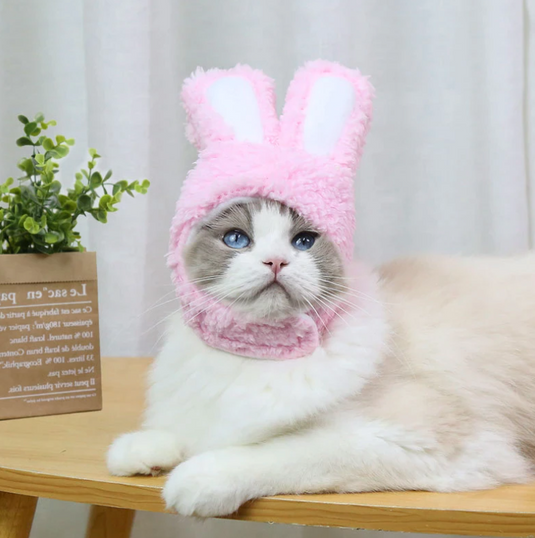 Translation missing: en.Bunny Rabbit Ears Hat for Cats