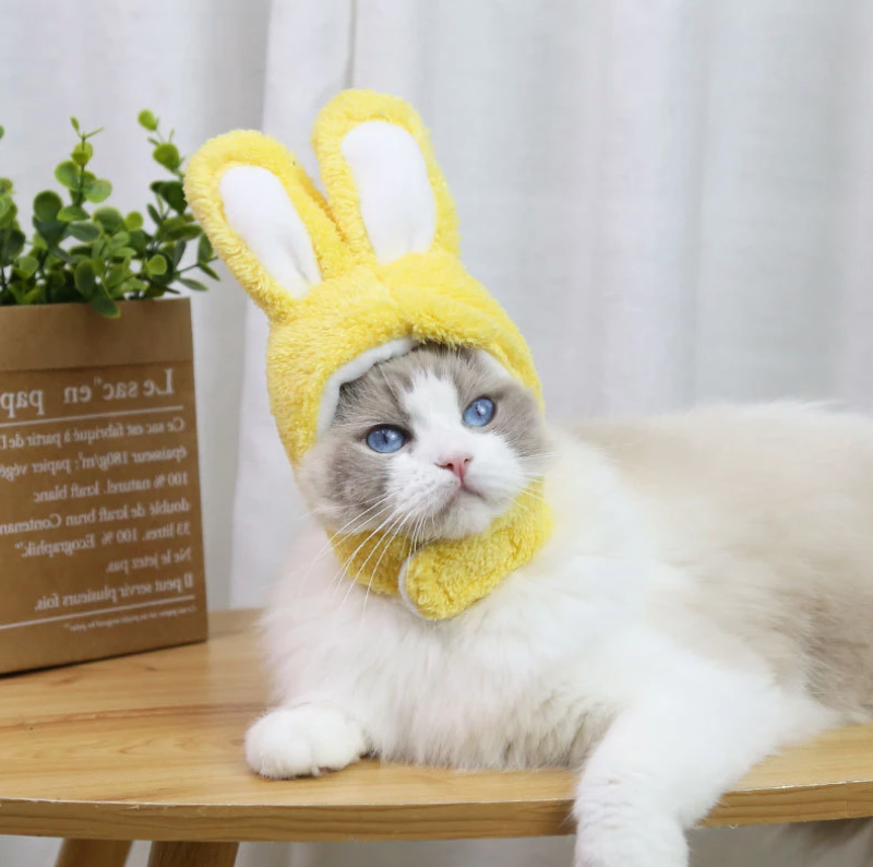 Bunny Rabbit Ears Hat for Cats