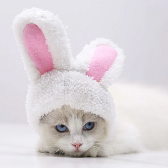Translation missing: en.Bunny Rabbit Ears Hat for Cats