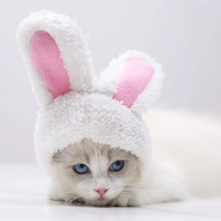 Bunny Rabbit Ears Hat for Cats