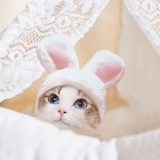 Translation missing: en.Bunny Rabbit Ears Hat for Cats