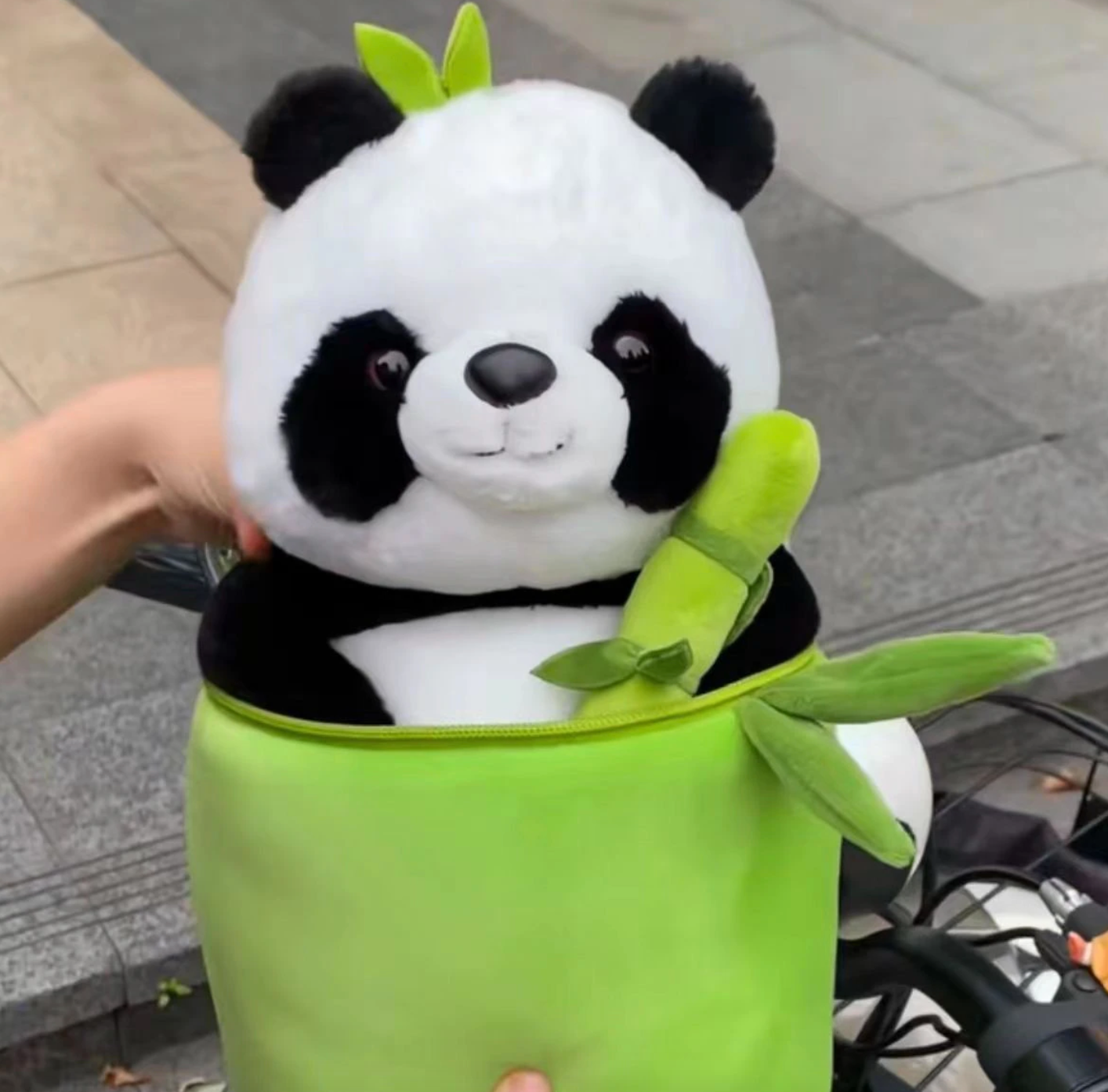 Panda in a Bamboo Plush