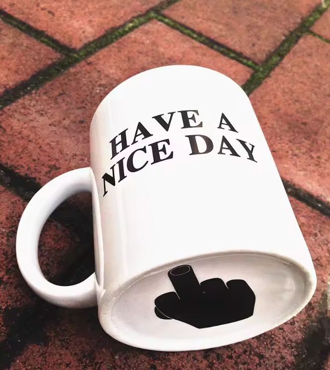 HAVE A NICE DAY FUNNY MUG